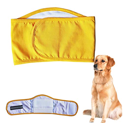 Hundewindel Hunde Windeln Hundebauchbänder männlich Waschbare männliche Hundeverpackung Windeln für Rüden Hund Windeln männlich Yellow,l von Rysmliuhan Shop