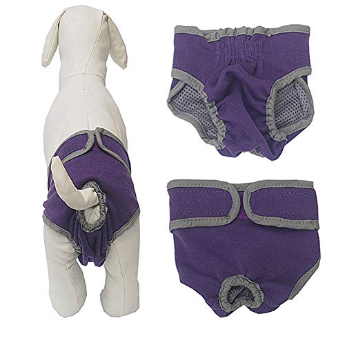 Hundewindel Hundewindeln RüDe Hund Windeln weiblich klein Hundewindeln Weibliches Medium Hygienehosen für Hunde Windeln Windeln für Rüden Purple,XL von Rysmliuhan Shop