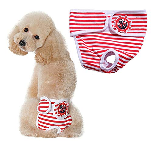 Hundewindeln FüR HüNdinnen Hundewindeln RüDe Hündin Windeln Hygienehosen für Hunde Windeln Hund Windel männlich Windeln für Rüden red,XL von Rysmliuhan Shop