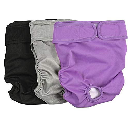Hundewindeln Für Hündinnen Inkontinenz Hundewindel Katzenwindeln Windeln für inkontinente Hunde Windel Hundewindeln Hygienehosen für Hunde 3pcs,l Hundewindeln Für Hündinnen Inkontinenz Hundewindel Katzenwindeln Windeln für inkontinente Hunde Windel Hundewindeln Hygienehosen für Hunde 3pcs,l von Rysmliuhan Shop