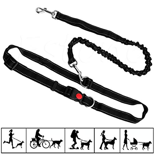 Joggingleine Hunde Hundeleine Kleine Hund Slip Lead für Hunde Hundeleine bequem Trainingsleitung für Hunde Anti-Pull-Hundeleine Leine für große Hunde Black Joggingleine Hunde Hundeleine Kleine Hund Slip Lead für Hunde Hundeleine bequem Trainingsleitung für Hunde Anti-Pull-Hundeleine Leine für große Hunde Black von Rysmliuhan Shop
