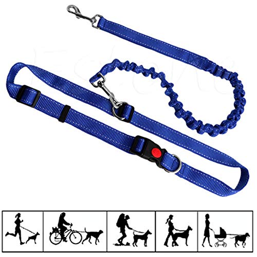 Joggingleine Hunde Hundeleine Kleine Hund Slip Lead für Hunde Hundeleine bequem Trainingsleitung für Hunde Anti-Pull-Hundeleine Leine für große Hunde Blue von Rysmliuhan Shop