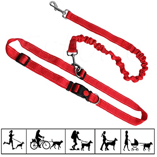 Joggingleine Hunde Hundeleine Kleine Hund Slip Lead für Hunde Hundeleine bequem Trainingsleitung für Hunde Anti-Pull-Hundeleine Leine für große Hunde red Joggingleine Hunde Hundeleine Kleine Hund Slip Lead für Hunde Hundeleine bequem Trainingsleitung für Hunde Anti-Pull-Hundeleine Leine für große Hunde red von Rysmliuhan Shop