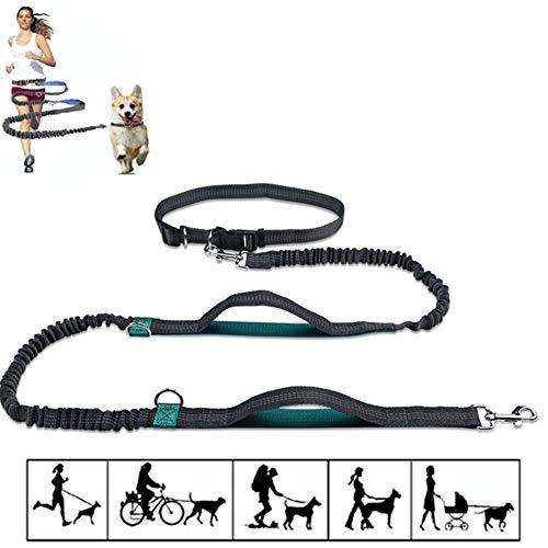 Joggingleine Hunde Joggingleine Hund Mit Bauchgu Hundegürtel Hund läuft Blei Anti-Pull-Hundeleine Hundetraining Lead Hundeleine bequem green1 Joggingleine Hunde Joggingleine Hund Mit Bauchgu Hundegürtel Hund läuft Blei Anti-Pull-Hundeleine Hundetraining Lead Hundeleine bequem green1 von Rysmliuhan Shop