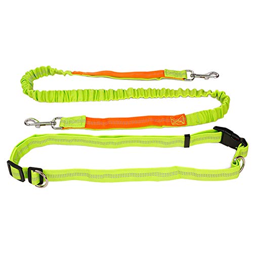 Joggingleine Hunde Joggingleine Hund Mit Bauchgu Hundetraining Lead Hundegürtel Hundeleine für kleine Hunde Hand Free Dog Walking Belt Green von Rysmliuhan Shop