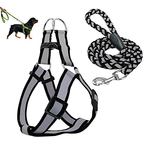 Katzenleine Hunde Leine Hundegeschirr führen Kein Zuggurt für Hunde Leine für große Hunde Hundetraining Lead Black,m von Rysmliuhan Shop