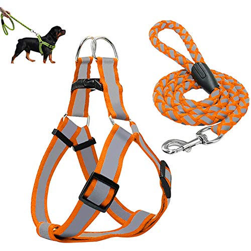 Katzenleine Hunde Leine Hundegeschirr führen Kein Zuggurt für Hunde Leine für große Hunde Hundetraining Lead orange,l von Rysmliuhan Shop