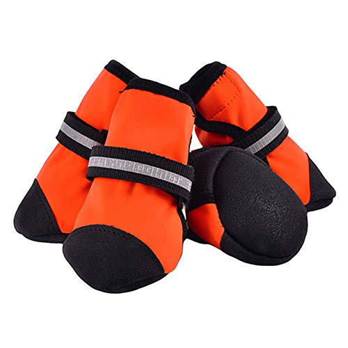 Pfotenschutz Hund Hitze Pfotenschutz Für Hunde Wasserdicht Hundeschuhe Hundeschuhe für kleine Hunde Hundeschuhe für große Hunde orange,XXL Pfotenschutz Hund Hitze Pfotenschutz Für Hunde Wasserdicht Hundeschuhe Hundeschuhe für kleine Hunde Hundeschuhe für große Hunde orange,XXL von Rysmliuhan Shop