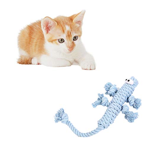 Rysmliuhan Shop Ball hundespielzeug unzerstörbar Hunde Spielzeug Hund Spielzeug für langeweile Welpen zahnen Spielzeug Welpen kaut Hund Seil Spielzeug Blue Rysmliuhan Shop Ball hundespielzeug unzerstörbar Hunde Spielzeug Hund Spielzeug für langeweile Welpen zahnen Spielzeug Welpen kaut Hund Seil Spielzeug Blue von Rysmliuhan Shop