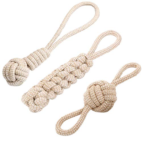 Rysmliuhan Shop Hunde Spielzeug FüR Welpen Hunde Spielzeug Hundespielzeug Seil Hundespielzeug Seil Hundeseil Spielzeug Welpen Kauspielzeug Seil Hundespielzeug 3pcs Rysmliuhan Shop Hunde Spielzeug FüR Welpen Hunde Spielzeug Hundespielzeug Seil Hundespielzeug Seil Hundeseil Spielzeug Welpen Kauspielzeug Seil Hundespielzeug 3pcs von Rysmliuhan Shop