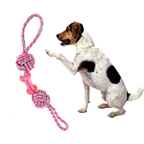 Rysmliuhan Shop Hunde Spielzeug für kleine Hunde Ball hundespielzeug unzerstörbar Hund kauen Spielzeug Welpen Hund Spielzeug für langeweile pink Rysmliuhan Shop Hunde Spielzeug für kleine Hunde Ball hundespielzeug unzerstörbar Hund kauen Spielzeug Welpen Hund Spielzeug für langeweile pink von Rysmliuhan Shop