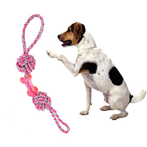 Rysmliuhan Shop Hunde Spielzeug für kleine Hunde Ball hundespielzeug unzerstörbar Hund kauen Spielzeug Welpen Hund Spielzeug für langeweile pink von Rysmliuhan Shop