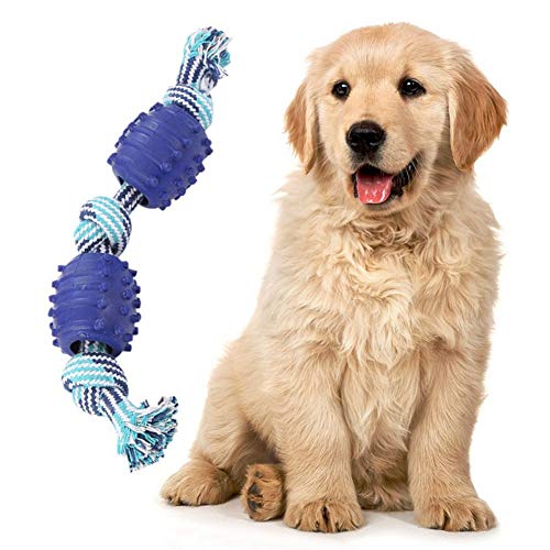 Rysmliuhan Shop Hunde Spielzeug für kleine Hunde Frisbee Hund Hund kaut Hund Spielzeug für langeweile Tough Hund Spielzeug Unzerstörbar Hund Spielzeug Rysmliuhan Shop Hunde Spielzeug für kleine Hunde Frisbee Hund Hund kaut Hund Spielzeug für langeweile Tough Hund Spielzeug Unzerstörbar Hund Spielzeug von Rysmliuhan Shop