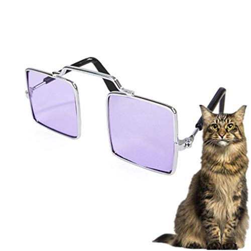 Rysmliuhan Shop Hundebrille Für Kleine Hunde Sonnenschutz Hund Schutzbrille Augenschutzbrille UV-Brille für Hund Faltbare Hundesonnenbrille Welpen Sonnenbrille Purple Rysmliuhan Shop Hundebrille Für Kleine Hunde Sonnenschutz Hund Schutzbrille Augenschutzbrille UV-Brille für Hund Faltbare Hundesonnenbrille Welpen Sonnenbrille Purple von Rysmliuhan Shop