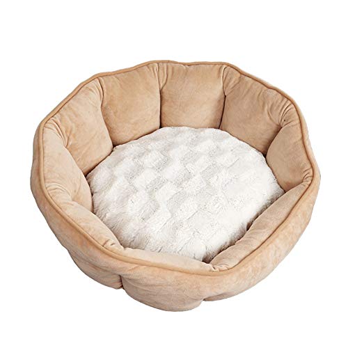 Rysmliuhan Shop Hundehöhle Kleine Hunde Katzenhöhle Haustierbetten Für Hunde Günstige Hundebetten Katzenschlafsack Tierarztbett Für Hunde Flauschiges Hundebett 49X55,beige Rysmliuhan Shop Hundehöhle Kleine Hunde Katzenhöhle Haustierbetten Für Hunde Günstige Hundebetten Katzenschlafsack Tierarztbett Für Hunde Flauschiges Hundebett 49X55,beige von Rysmliuhan Shop