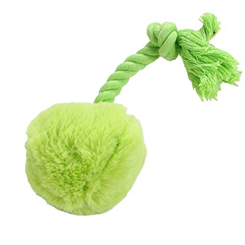 Rysmliuhan Shop Hundespielzeug Quietscher Welpenspielzeug Hund Welpe Plüschtier Hund Soft Toys für kleine Hunde Quietschender Hundeball Tough Dog Toys Random Color Rysmliuhan Shop Hundespielzeug Quietscher Welpenspielzeug Hund Welpe Plüschtier Hund Soft Toys für kleine Hunde Quietschender Hundeball Tough Dog Toys Random Color von Rysmliuhan Shop