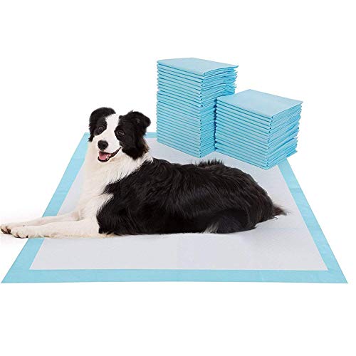 Rysmliuhan Shop Hundewindeln Für Hündinnen Inkontinenz Inkontinenzunterlage Hund Pee Pad Windel Hunde-Inkontinenz-Pads Leckfreie Welpenauflagen Hundewindeln m-50pcs Rysmliuhan Shop Hundewindeln Für Hündinnen Inkontinenz Inkontinenzunterlage Hund Pee Pad Windel Hunde-Inkontinenz-Pads Leckfreie Welpenauflagen Hundewindeln m-50pcs von Rysmliuhan Shop