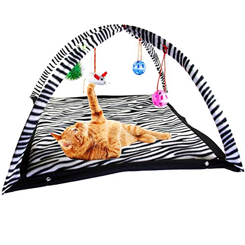 Rysmliuhan Shop Interaktives Katzenspielzeug Katzen Spielsachen Katze Ballspielzeug Interaktives Katzenspielzeug für Indoor-Katzen Rysmliuhan Shop Interaktives Katzenspielzeug Katzen Spielsachen Katze Ballspielzeug Interaktives Katzenspielzeug für Indoor-Katzen von Rysmliuhan Shop