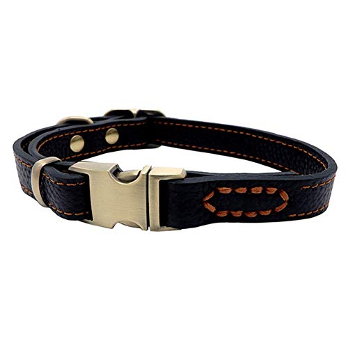 Rysmliuhan Shop Katzenhalsband HalsbäNder FüR Hunde Led Hund Halsbänder Hund Halsbänder Leder Leder Hund Halsbänder Hund Halsbänder Led Hunde Halsbänder Large,Black Rysmliuhan Shop Katzenhalsband HalsbäNder FüR Hunde Led Hund Halsbänder Hund Halsbänder Leder Leder Hund Halsbänder Hund Halsbänder Led Hunde Halsbänder Large,Black von Rysmliuhan Shop