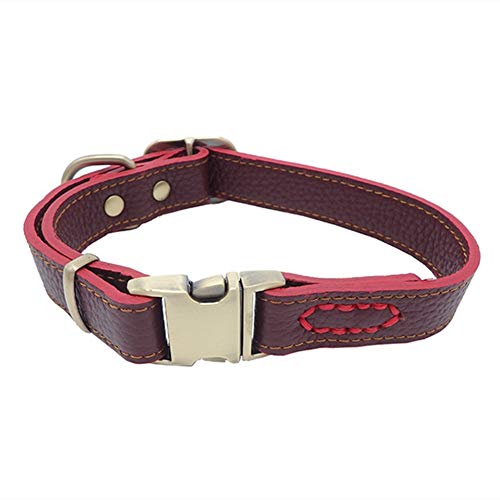 Rysmliuhan Shop Katzenhalsband HalsbäNder FüR Hunde Led Hund Halsbänder Hund Halsbänder Leder Leder Hund Halsbänder Hund Halsbänder Led Hunde Halsbänder Medium,Wine red Rysmliuhan Shop Katzenhalsband HalsbäNder FüR Hunde Led Hund Halsbänder Hund Halsbänder Leder Leder Hund Halsbänder Hund Halsbänder Led Hunde Halsbänder Medium,Wine red von Rysmliuhan Shop