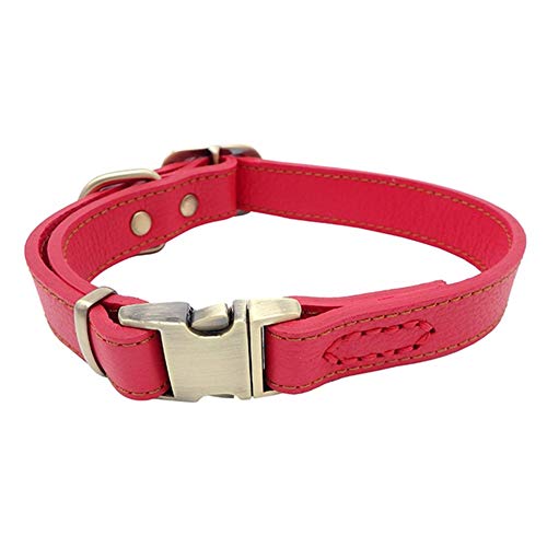 Rysmliuhan Shop Katzenhalsband HalsbäNder FüR Hunde Led Hund Halsbänder Hund Halsbänder Leder Leder Hund Halsbänder Hund Halsbänder Led Hunde Halsbänder Medium,red Rysmliuhan Shop Katzenhalsband HalsbäNder FüR Hunde Led Hund Halsbänder Hund Halsbänder Leder Leder Hund Halsbänder Hund Halsbänder Led Hunde Halsbänder Medium,red von Rysmliuhan Shop