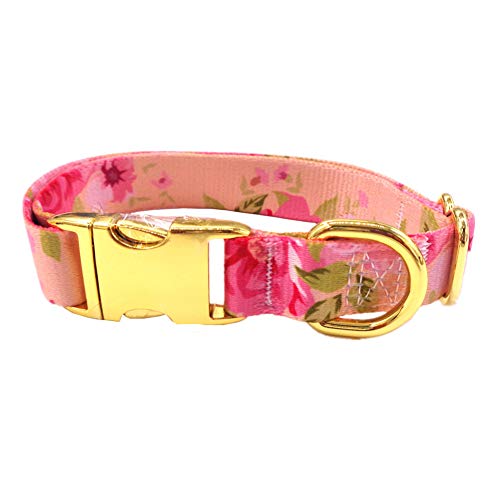 Rysmliuhan Shop Katzenhalsband Katzen Halsband Kleine Hund Halsbänder Hund Kragen Große Hunde Led Hund Halsbänder Kleine Welpen Kragen Hund Halsbänder Große Hunde Small,pink Rysmliuhan Shop Katzenhalsband Katzen Halsband Kleine Hund Halsbänder Hund Kragen Große Hunde Led Hund Halsbänder Kleine Welpen Kragen Hund Halsbänder Große Hunde Small,pink von Rysmliuhan Shop
