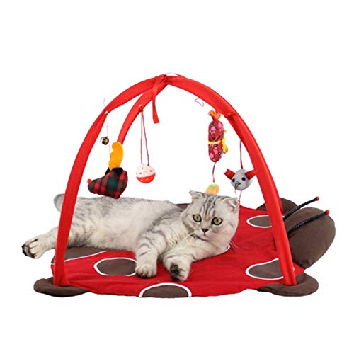 Rysmliuhan Shop Katzenspielzeug Set Katzenspielzeug Katzenfeder Spielzeug Kätzchen-Spielwaren für Innenkatzen Katze Ballspielzeug red Rysmliuhan Shop Katzenspielzeug Set Katzenspielzeug Katzenfeder Spielzeug Kätzchen-Spielwaren für Innenkatzen Katze Ballspielzeug red von Rysmliuhan Shop