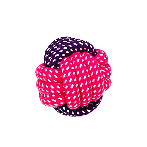 Rysmliuhan Shop Welpenspielzeug Hund Welpenspielzeug Hundespielzeug Seil Hundekauspielzeug Seil Hundespielzeug Hundespielzeug Seil Welpen Kauspielzeug c Rysmliuhan Shop Welpenspielzeug Hund Welpenspielzeug Hundespielzeug Seil Hundekauspielzeug Seil Hundespielzeug Hundespielzeug Seil Welpen Kauspielzeug c von Rysmliuhan Shop