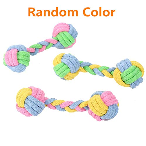 Rysmliuhan Shop Welpenspielzeug Hund Welpenspielzeug Seil Hundespielzeug Seil Hundespielzeug Hundespielzeug Seil Hundespielzeug Seil Welpenspielzeug Ab 8 Wochen 3pcs Rysmliuhan Shop Welpenspielzeug Hund Welpenspielzeug Seil Hundespielzeug Seil Hundespielzeug Hundespielzeug Seil Hundespielzeug Seil Welpenspielzeug Ab 8 Wochen 3pcs von Rysmliuhan Shop