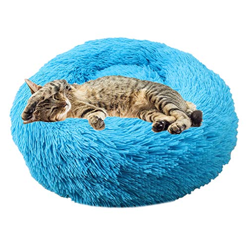 Rysmliuhan Shop hundebetten für mittlere Hunde hundebett Grosse Hunde Plüsch Hundebett Haustierbetten Für Hunde Donut Hundebett Flauschiges Hundebett Hundekissen Blue,70cm/27.56in Rysmliuhan Shop hundebetten für mittlere Hunde hundebett Grosse Hunde Plüsch Hundebett Haustierbetten Für Hunde Donut Hundebett Flauschiges Hundebett Hundekissen Blue,70cm/27.56in von Rysmliuhan Shop