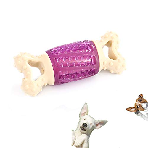 Rysmliuhan Shop hundespielzeug Ball welpenspielzeug Set Welpen Spielzeug von 8 wochen Interaktive Hund Spielzeug Hund kaut Lange anhaltende natürliche Purple Rysmliuhan Shop hundespielzeug Ball welpenspielzeug Set Welpen Spielzeug von 8 wochen Interaktive Hund Spielzeug Hund kaut Lange anhaltende natürliche Purple von Rysmliuhan Shop