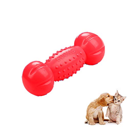 Rysmliuhan Shop hundespielzeug Intelligenz Frisbee Hund Hund kauen Kauen für Hund Hund Seil Spielzeug Hund behandelt für welpen Welpen Welpen Spielzeug von 8 wochen red von Rysmliuhan Shop