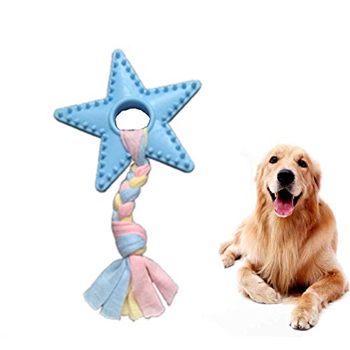 Rysmliuhan Shop hundespielzeug für kleine Hunde Intelligenz welpenspielzeug Hund Hund kaut Welpen Spielzeug von 8 wochen Tough Hund Spielzeug Hund kauen barbedstar,Blue von Rysmliuhan Shop
