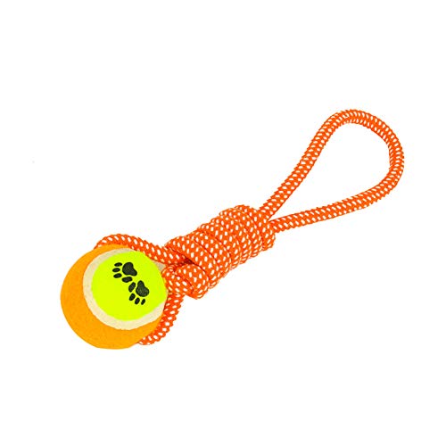 Rysmliuhan Shop hundespielzeug hundespielzeug für kleine Hunde Intelligenz Unzerstörbar Hund Spielzeug Hund kaut Welpen zahnen Spielzeug Hund kauen Rysmliuhan Shop hundespielzeug hundespielzeug für kleine Hunde Intelligenz Unzerstörbar Hund Spielzeug Hund kaut Welpen zahnen Spielzeug Hund kauen von Rysmliuhan Shop