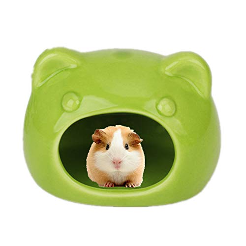 Rysmliuhan Shop kaninchenhaus buddelkiste Kaninchen Guinea Pig Haus Hamster zubehör Zwerg Hamster käfig Hamster Gerbil Spielzeug 6.6cm,Green Rysmliuhan Shop kaninchenhaus buddelkiste Kaninchen Guinea Pig Haus Hamster zubehör Zwerg Hamster käfig Hamster Gerbil Spielzeug 6.6cm,Green von Rysmliuhan Shop