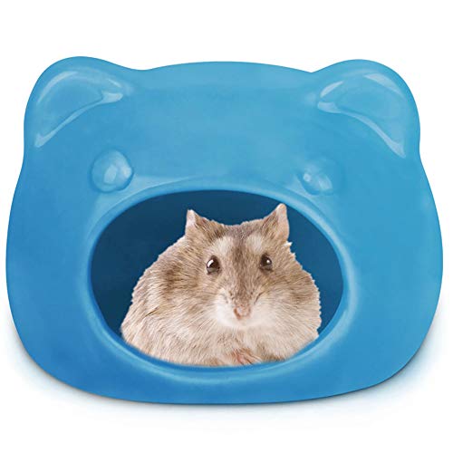 Rysmliuhan Shop kaninchenhaus buddelkiste Kaninchen Guinea Pig Haus Hamster zubehör Zwerg Hamster käfig Hamster Gerbil Spielzeug 8.5cm,Blue Rysmliuhan Shop kaninchenhaus buddelkiste Kaninchen Guinea Pig Haus Hamster zubehör Zwerg Hamster käfig Hamster Gerbil Spielzeug 8.5cm,Blue von Rysmliuhan Shop