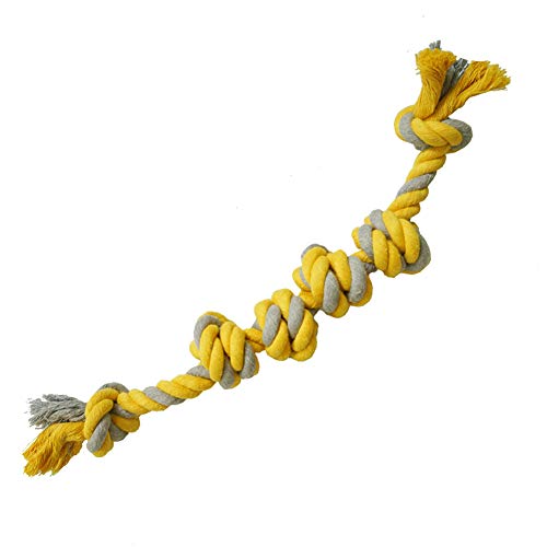 Rysmliuhan Shop welpenspielzeug Set hundespielzeug unzerstörbar für Grosse Hunde Hund kaut Hund kauen Tough Hund Spielzeug Hund kauen Spielzeug Kauen für Hund Rysmliuhan Shop welpenspielzeug Set hundespielzeug unzerstörbar für Grosse Hunde Hund kaut Hund kauen Tough Hund Spielzeug Hund kauen Spielzeug Kauen für Hund von Rysmliuhan Shop