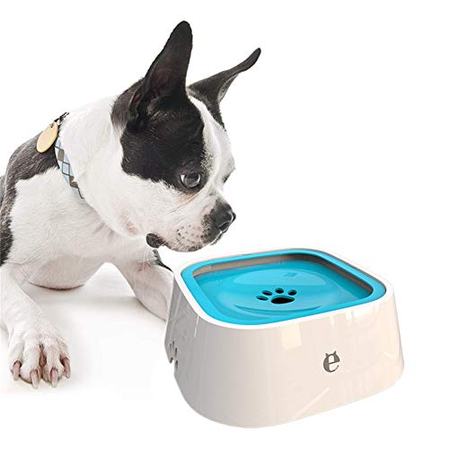 Wassernapf Katzen Futternapf Hund Raised Cat Bowl Hundenäpfe rutschfest Welpenschalen klein Flache Katze Schüssel Haustierschalen Für Katzen Blue Wassernapf Katzen Futternapf Hund Raised Cat Bowl Hundenäpfe rutschfest Welpenschalen klein Flache Katze Schüssel Haustierschalen Für Katzen Blue von Rysmliuhan Shop