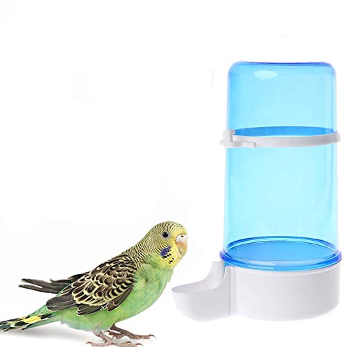 Wellensittiche Zubehör Käfig Vogeltränke Zum Aufhängen Vogelfutterautomat Mehlwurm Feeder Vogelfutterhäuschen für Käfige Hängende Vogelhäuschen Blue,415ml Wellensittiche Zubehör Käfig Vogeltränke Zum Aufhängen Vogelfutterautomat Mehlwurm Feeder Vogelfutterhäuschen für Käfige Hängende Vogelhäuschen Blue,415ml von Rysmliuhan Shop
