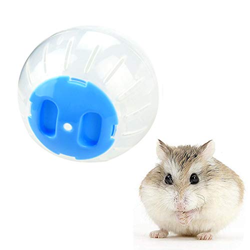 hamsterrad Hamster laufrad Hamster in eine Ball Spielzeug Hamster übung Ball Zwerg Hamster Rad Holz Hamster Rad Hamster stille Rad Hamster 12cm,Blue von Rysmliuhan Shop