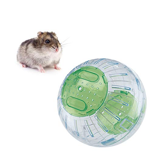 laufrad Hamster Holz laufrad Hamster Holz Hamster Rad Hamster in eine Ball Spielzeug Zwerg Hamster Rad Hamster Rad stille Spinner Stille Hamster Rad Green laufrad Hamster Holz laufrad Hamster Holz Hamster Rad Hamster in eine Ball Spielzeug Zwerg Hamster Rad Hamster Rad stille Spinner Stille Hamster Rad Green von Rysmliuhan Shop