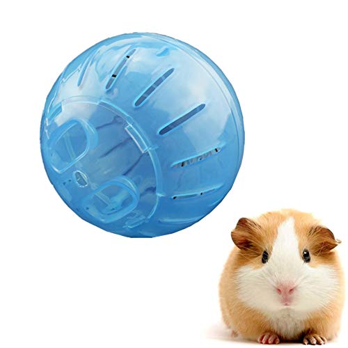 laufrad für Hamster Hamster laufrad Hamster in eine Ball Spielzeug Hamster übung Ball Holz Hamster Rad Hamster stille Rad Zwerg Hamster Rad 10cm,Blue von Rysmliuhan Shop