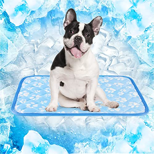 Rywell Entfärbung Kühlmatte für Hunde Katzen - 50×75cm Waschbar selbstkühlend Kälte Hundematte für unterwegs - rutschfest Wasserabsorbierend Tragbar Geruchlos Hundedecke für Haustiere Sommer - M Rywell Entfärbung Kühlmatte für Hunde Katzen - 50×75cm Waschbar selbstkühlend Kälte Hundematte für unterwegs - rutschfest Wasserabsorbierend Tragbar Geruchlos Hundedecke für Haustiere Sommer - M von Rywell