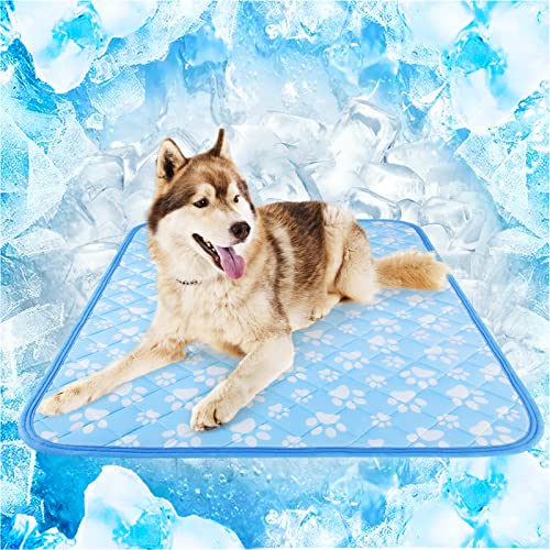 Rywell Entfärbung Kühlmatte für Hunde Katzen - 70×90cm Waschbar selbstkühlend Kälte Hundematte für unterwegs - rutschfest Wasserabsorbierend Tragbar Geruchlos Hundedecke für Haustiere Sommer - L Rywell Entfärbung Kühlmatte für Hunde Katzen - 70×90cm Waschbar selbstkühlend Kälte Hundematte für unterwegs - rutschfest Wasserabsorbierend Tragbar Geruchlos Hundedecke für Haustiere Sommer - L von Rywell