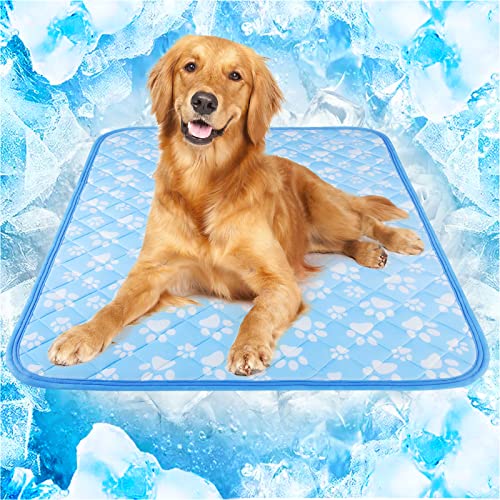 Rywell Entfärbung Kühlmatte für Hunde Katzen - 80×110cm Waschbar selbstkühlend Kälte Hundematte für unterwegs - rutschfest Wasserabsorbierend Tragbar Geruchlos Hundedecke für Haustiere Sommer - XL Rywell Entfärbung Kühlmatte für Hunde Katzen - 80×110cm Waschbar selbstkühlend Kälte Hundematte für unterwegs - rutschfest Wasserabsorbierend Tragbar Geruchlos Hundedecke für Haustiere Sommer - XL von Rywell