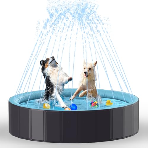Rywell Hundepool für Große Hunde - Faltbare Schwimmbecken mit Sprinkler, PVC langlebig Planschbecken für Kinder, Hunde und Baby, Sicher & Umweltfreundlich Hundebadewanne - S (80cm) von Rywell