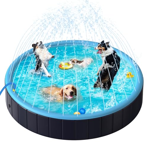 Rywell Hundepool für Große Hunde - Faltbare Schwimmbecken mit Sprinkler, PVC langlebig Planschbecken für Hunde, Sicher & Umweltfreundlich Hundebadewanne - L (160cm) von Rywell