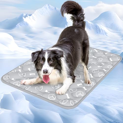 Rywell Kühlmatte für Hunde - Upgarde Entfärbung Verdicken Waschbar selbstkühlend Kälte 70×90cm Hundematte - rutschfest Weich Wasserabsorbierend Geruchlos Sommer Hundedecke für Hunde Katzen - L - Grau Rywell Kühlmatte für Hunde - Upgarde Entfärbung Verdicken Waschbar selbstkühlend Kälte 70×90cm Hundematte - rutschfest Weich Wasserabsorbierend Geruchlos Sommer Hundedecke für Hunde Katzen - L - Grau von Rywell