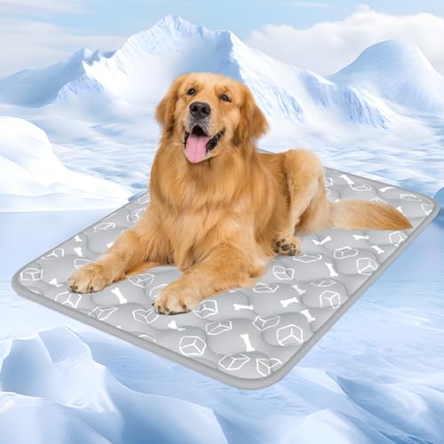 Rywell Kühlmatte für Hunde - Upgarde Entfärbung Verdicken Waschbar selbstkühlend Kälte 80×110cm Hundematte - rutschfest Weich Wasserabsorbierend Geruchlos Sommer Hundedecke für Hunde - XL - Grau Rywell Kühlmatte für Hunde - Upgarde Entfärbung Verdicken Waschbar selbstkühlend Kälte 80×110cm Hundematte - rutschfest Weich Wasserabsorbierend Geruchlos Sommer Hundedecke für Hunde - XL - Grau von Rywell