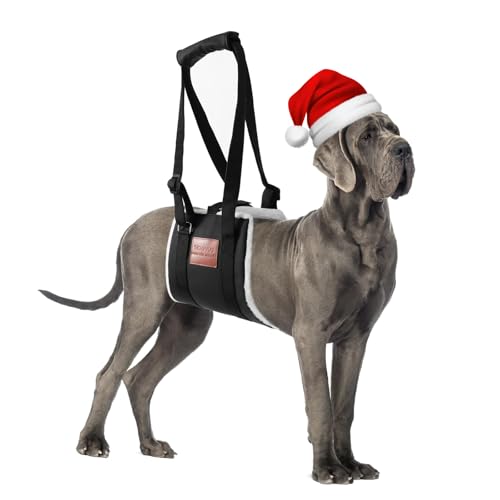 S-ETOVUS Hundeschlinge für Rückenbeine, Hundehebegeschirr, ältere Hundeheber, helfen Canie Hüfte Arthritis K9 Kreuzband Rehabilitation (groß) von S-ETOVUS